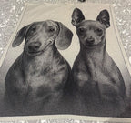 Manta Jacquard com fotografia Preto e Branco